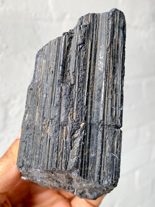 Black Tourmaline Rough BR19