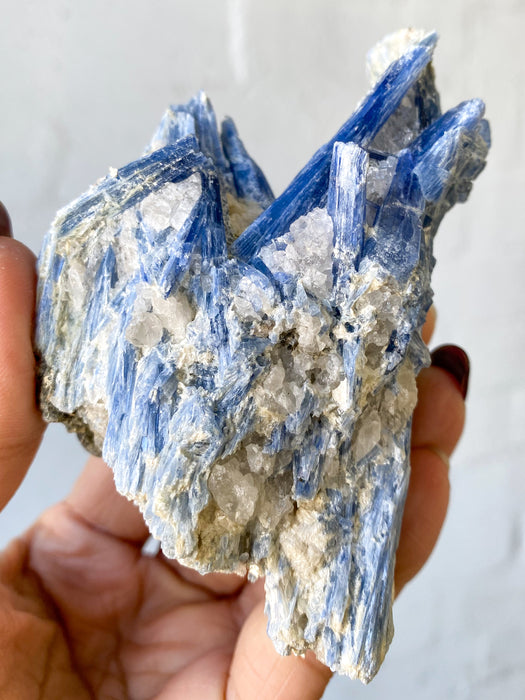 Blue Kyanite K13