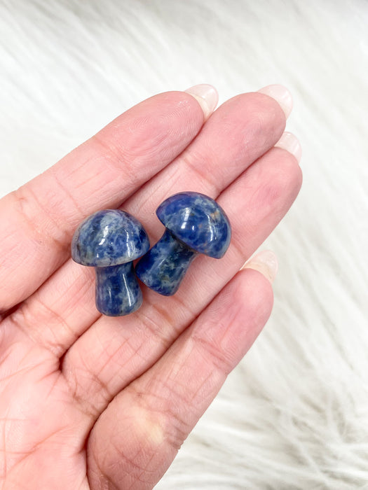 Sodalite Mushroom 1pc