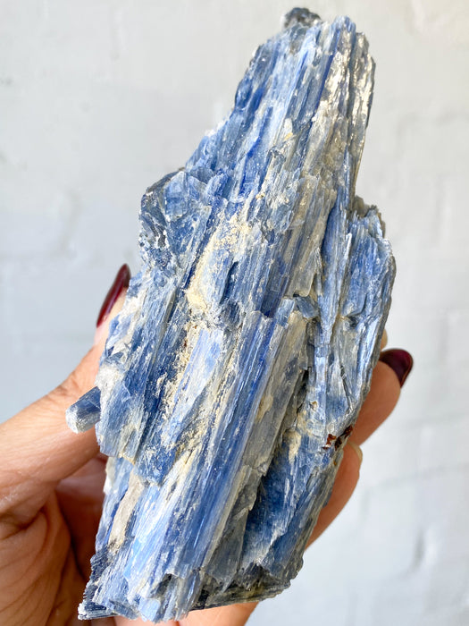 Blue Kyanite K15