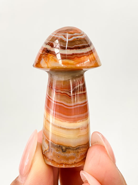 Pink Crazy Lace Agate Mushroom Carving 1pc