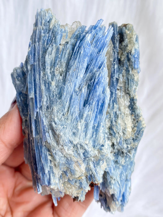 Blue Kyanite K9