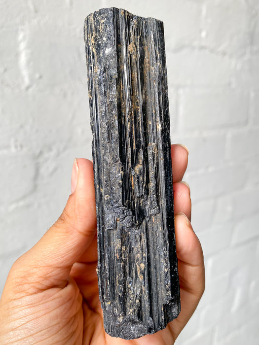 Black Tourmaline Rough BR17