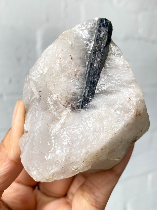 Tourmalinated Quartz Rough T5