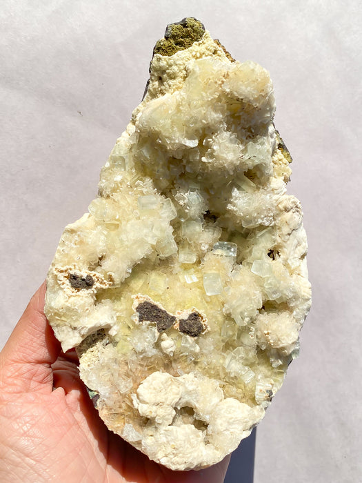 Apophyllite cluster ACS66