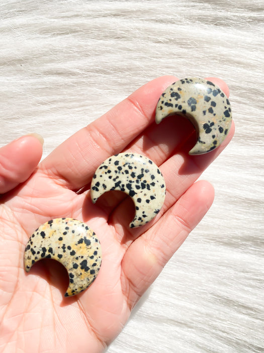 Dalmatian Jasper Mini moon 1pc