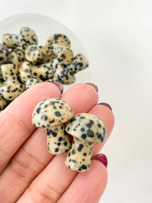 Dalmatian Jasper Mushroom