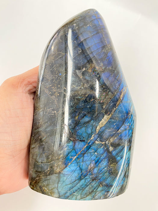 Labradorite Polished Freeform LF23