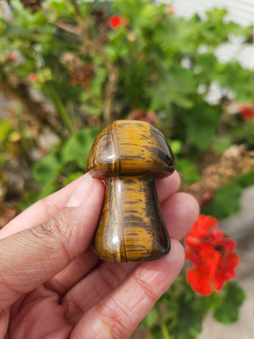 Tigers Eye Mushroom Craving 1pc