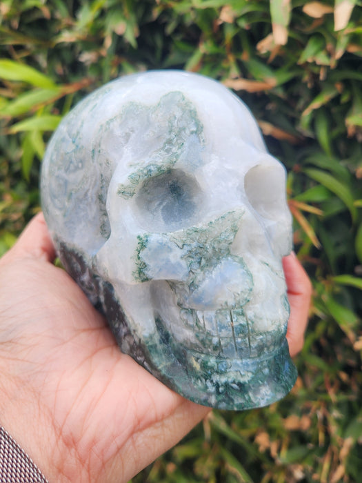 Tree Agate Skull Large SK1