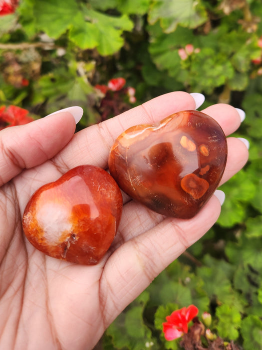 Carnelian Heart 1pc