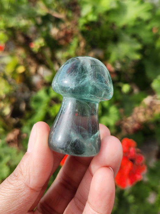 Fluorite Mushroom Craving 1pc