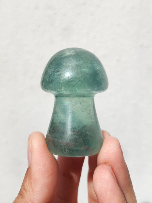 Fluorite Mushroom Craving 1pc