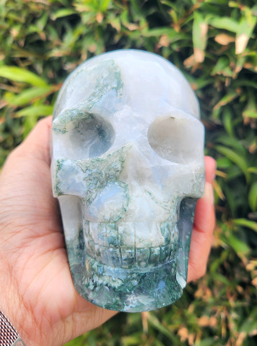 Tree Agate Skull Large SK1