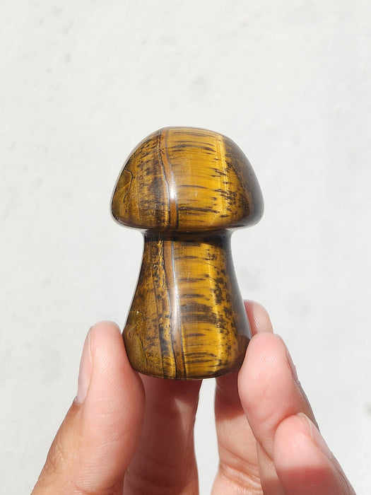 Tigers Eye Mushroom Craving 1pc