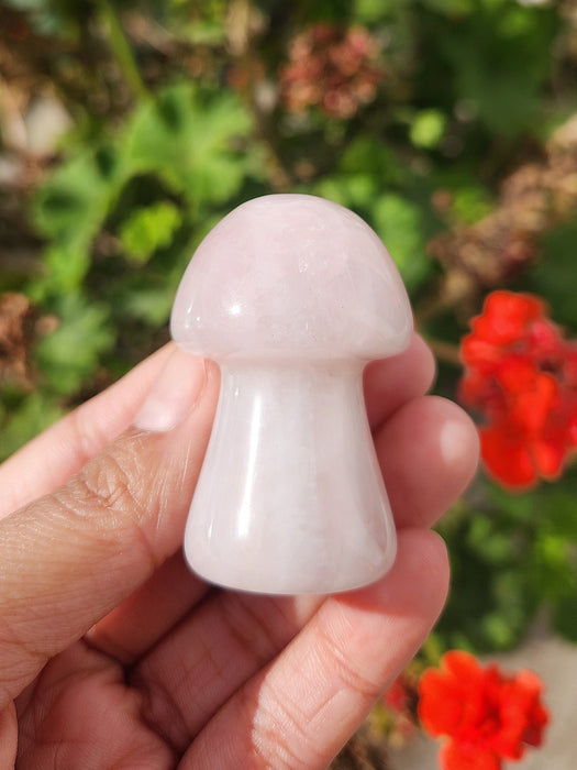 Rose Quartz Mushroom Craving 1pc