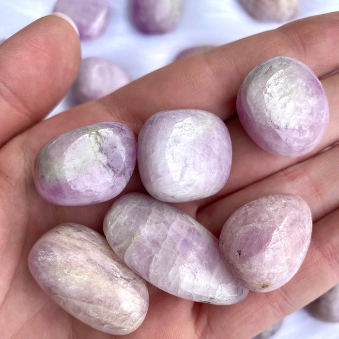 Kunzite Tumble 1pc