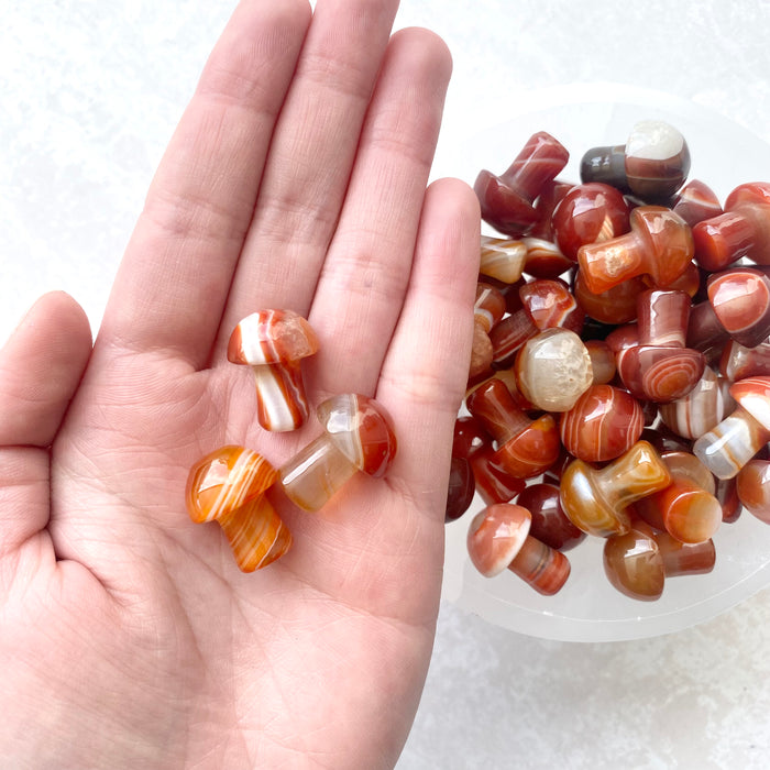 Carnelian Mushroom 1pc