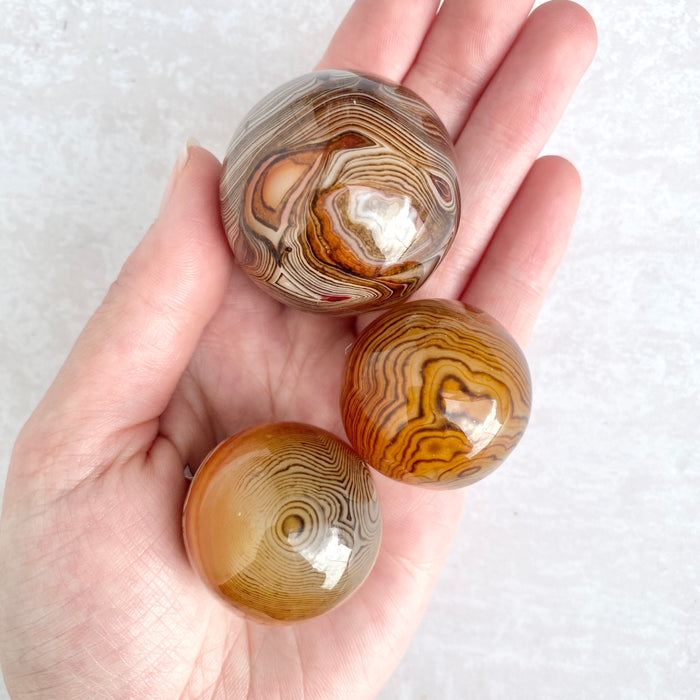 Sardonyx Sphere - 1pc